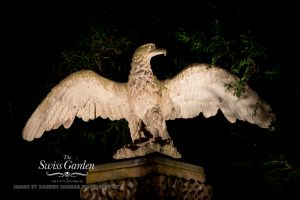 D_Harbar_Photography_SGLights_Dec2015_024